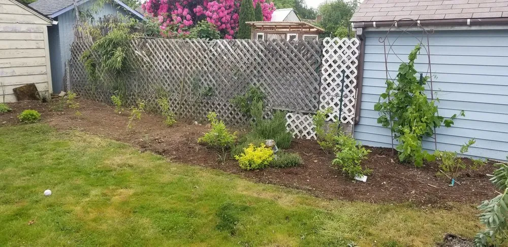 Expert yard maintenance in Portland, OR - Sunchaser Gardening