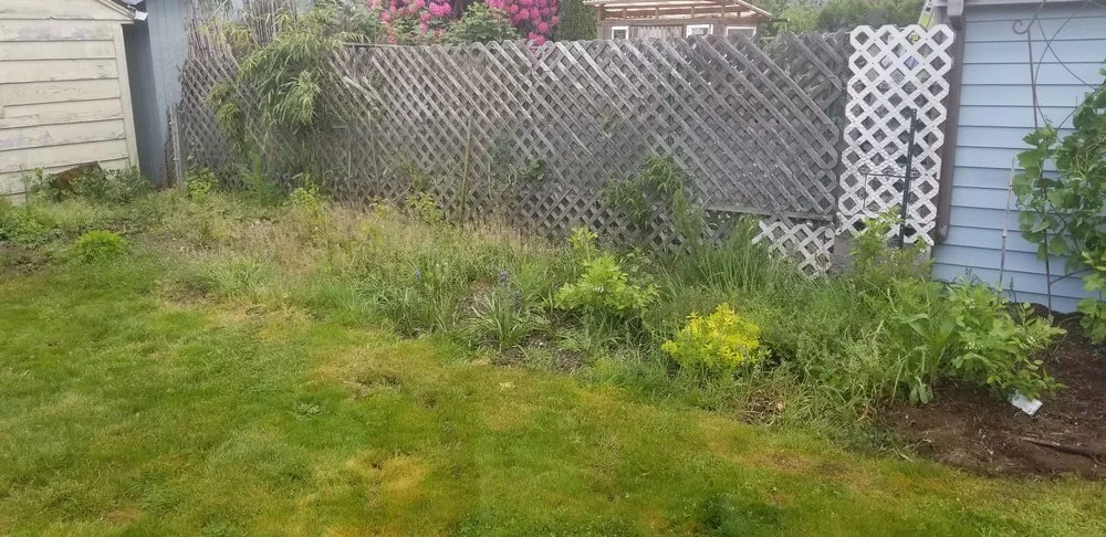 Top-rated landscape design for year-round maintenance across Portland, OR - Sunchaser Gardening