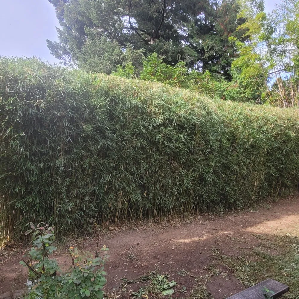 Custom lawn care service for beautiful yards across Portland, OR - Sunchaser Gardening