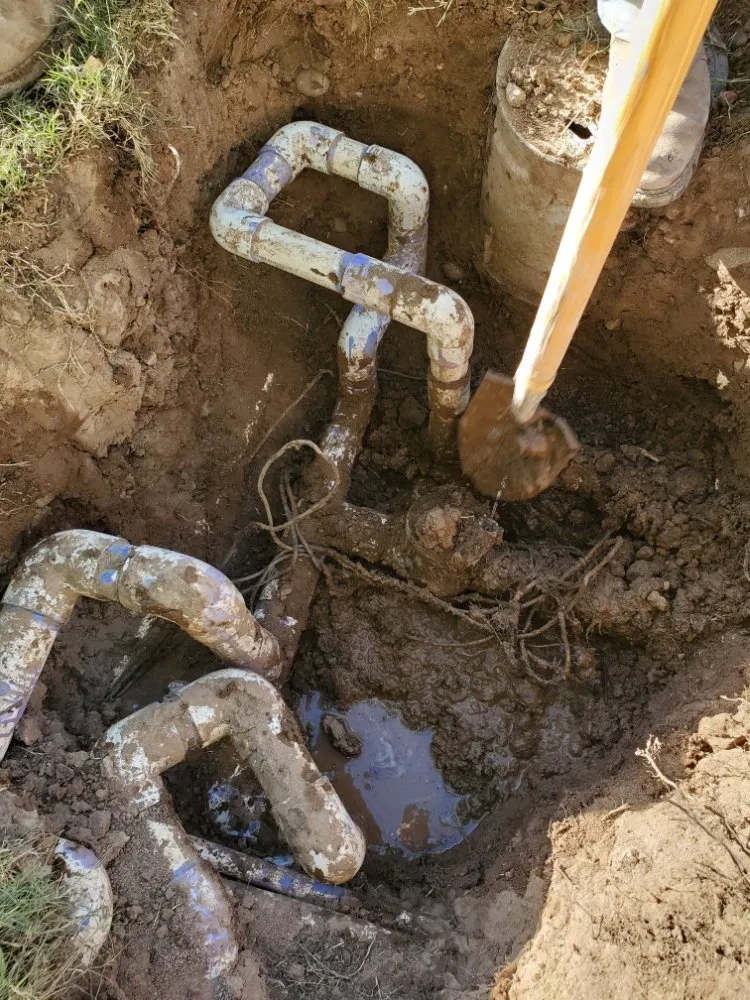 Trusted lawn mowing service for beautiful yards in Phoenix, AZ by Suncity Landscaping & Maintenance