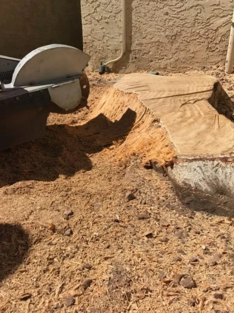 Top-rated outdoor landscaping experts serving Phoenix, AZ - Suncity Landscaping & Maintenance