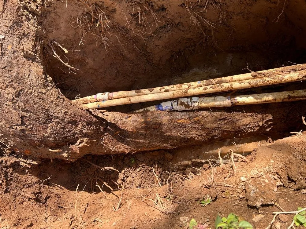 Affordable yard cleanup service in Phoenix, AZ by Suncity Landscaping & Maintenance