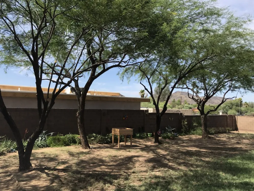 Trusted garden landscaping in Phoenix, AZ by Suncity Landscaping & Maintenance