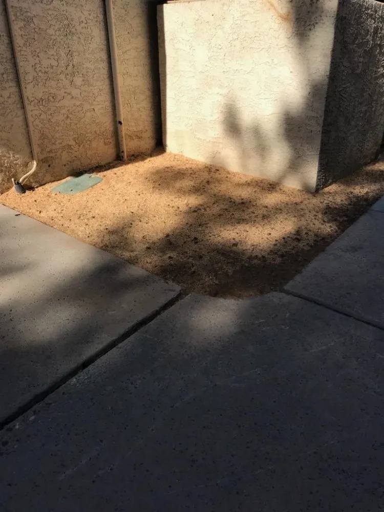 Expert landscape installation experts serving Phoenix, AZ - Suncity Landscaping & Maintenance