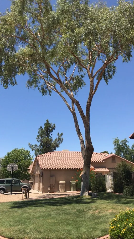 Local residential landscaping in Phoenix, AZ - Suncity Landscaping & Maintenance