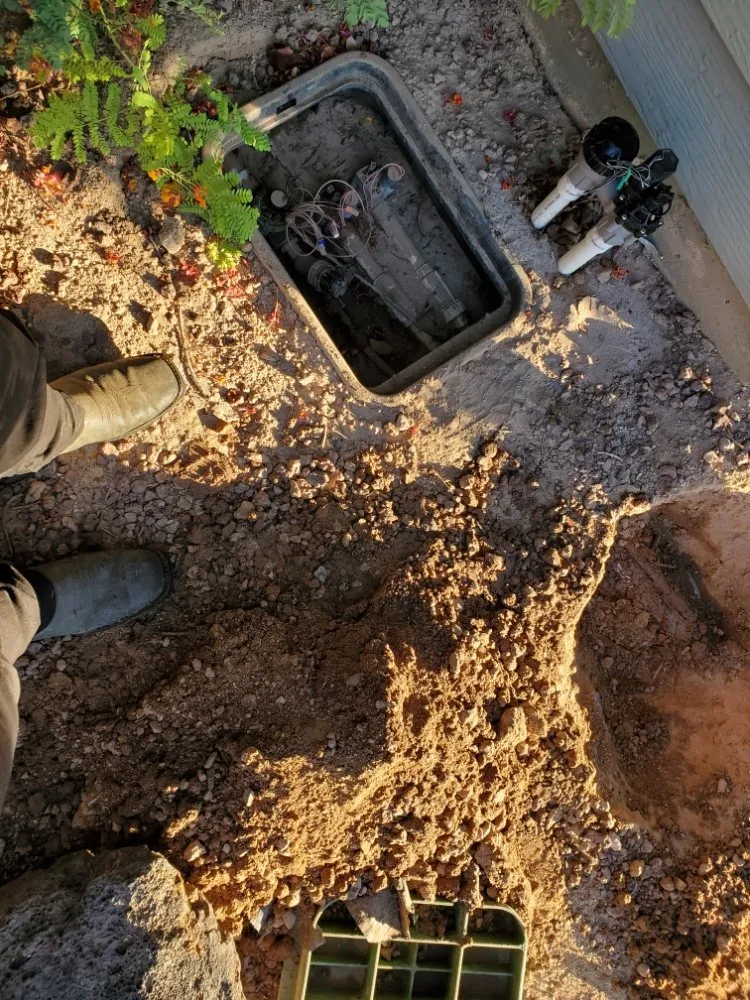 Reliable residential landscaping for year-round maintenance across Phoenix, AZ - Suncity Landscaping & Maintenance