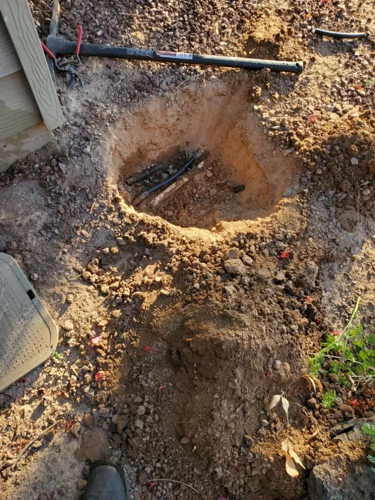 Expert lawn care service experts serving Phoenix, AZ - Suncity Landscaping & Maintenance