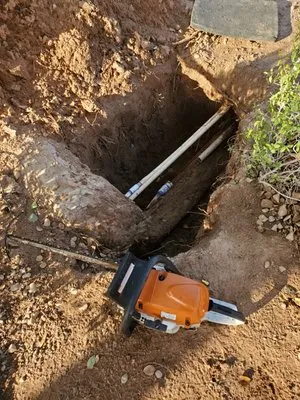 Suncity Landscaping & Maintenance Logo