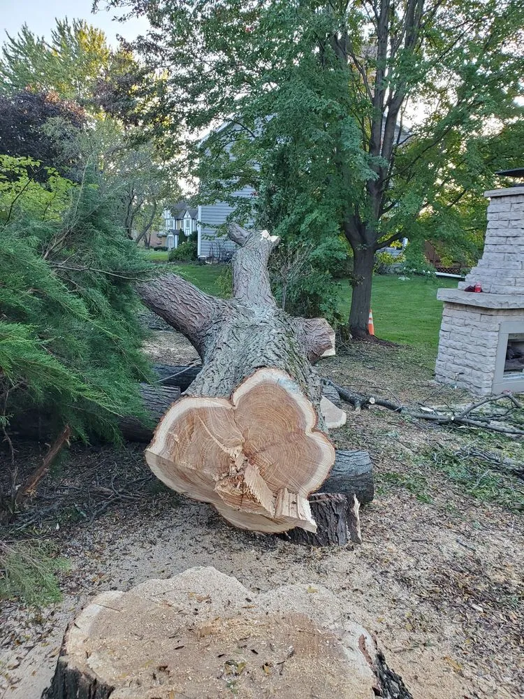 Top-rated yard cleanup service in Mundelein, IL by Suncity Landscaping