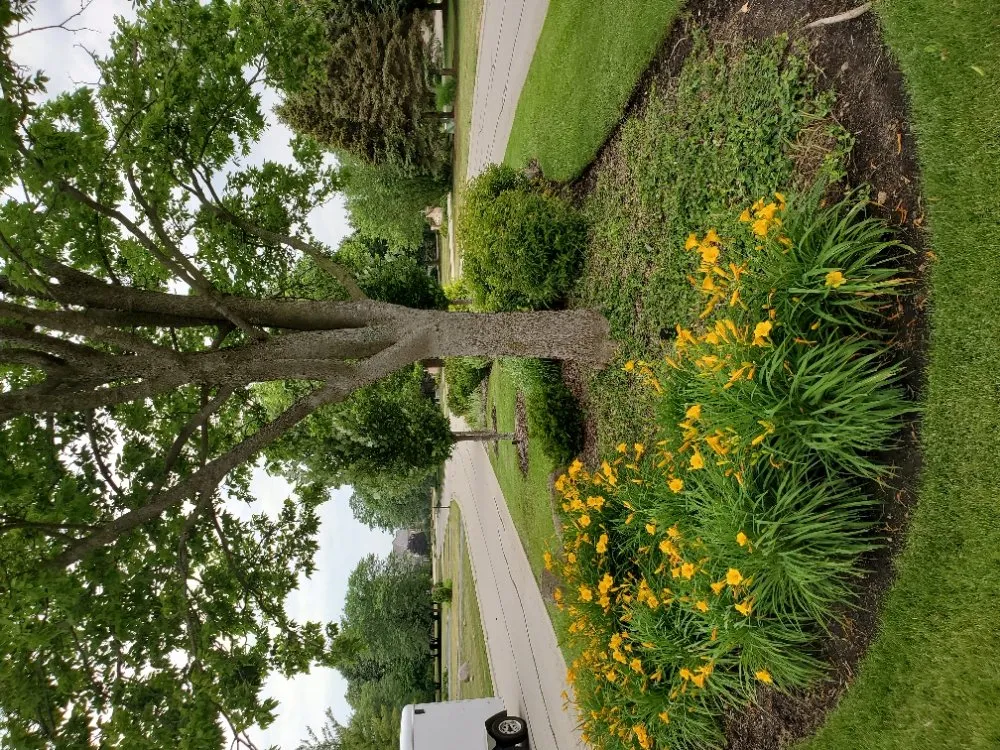 Trusted lawn care service in Mundelein, IL by Suncity Landscaping