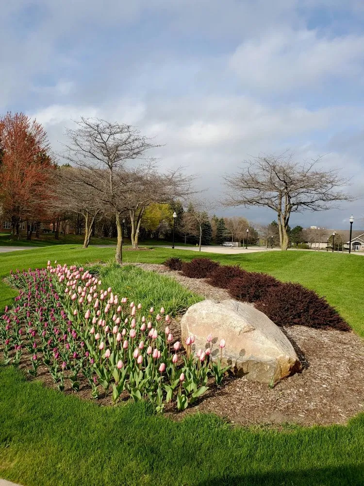 Affordable lawn mowing service for homes across Mundelein, IL - Suncity Landscaping