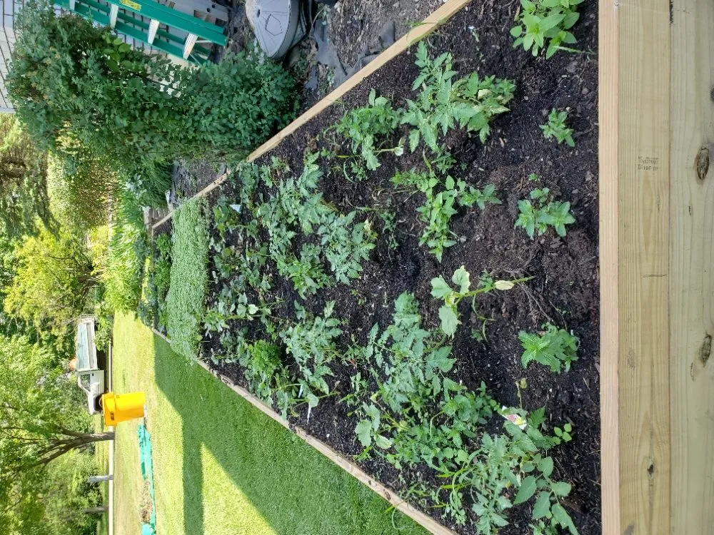 Reliable residential landscaping experts serving Mundelein, IL - Suncity Landscaping