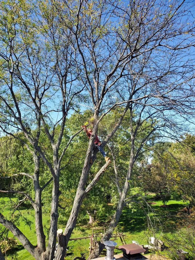 Professional landscaping services for year-round maintenance in Mundelein, IL by Suncity Landscaping