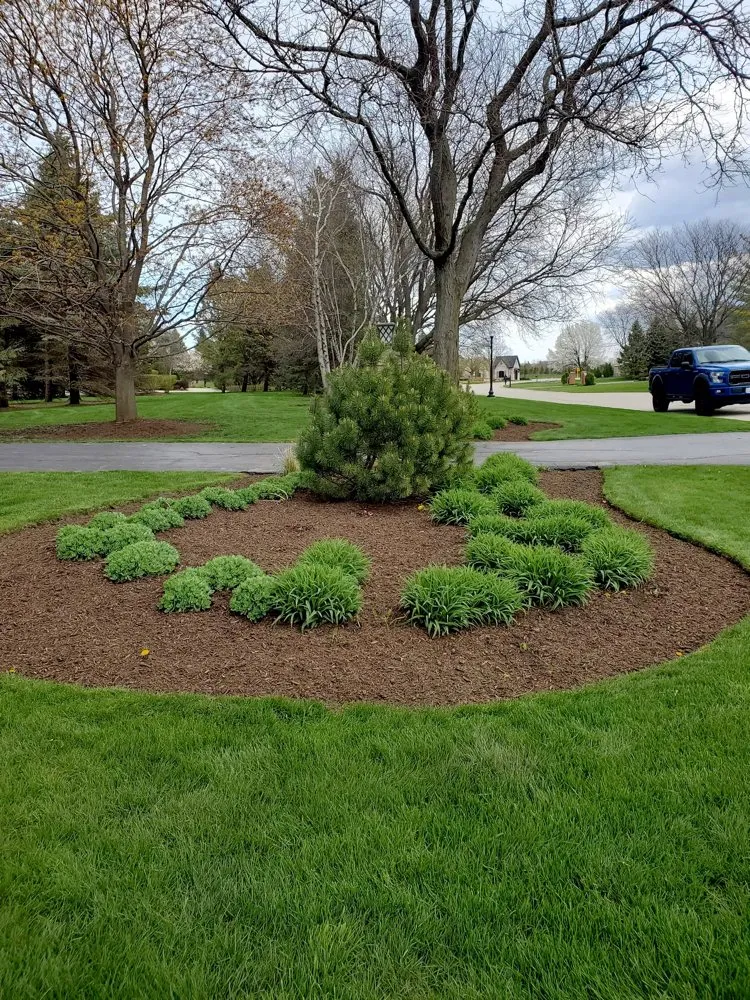 Reliable yard maintenance in Mundelein, IL by Suncity Landscaping