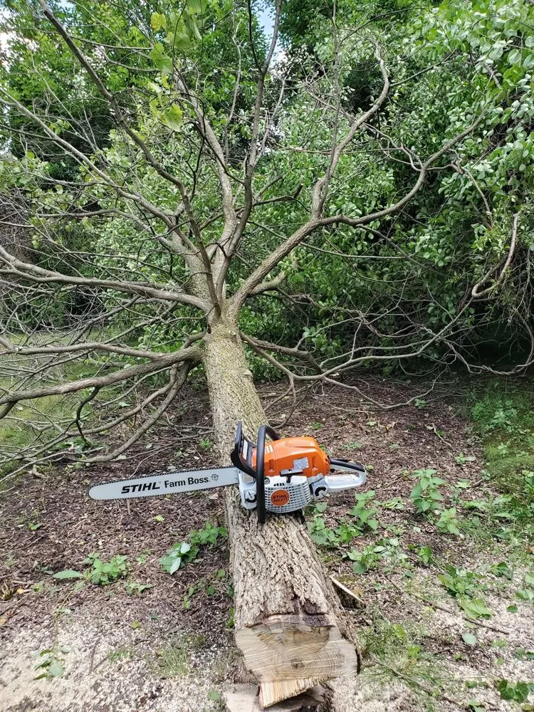 Local residential landscaping for residential properties across Mundelein, IL - Suncity Landscaping