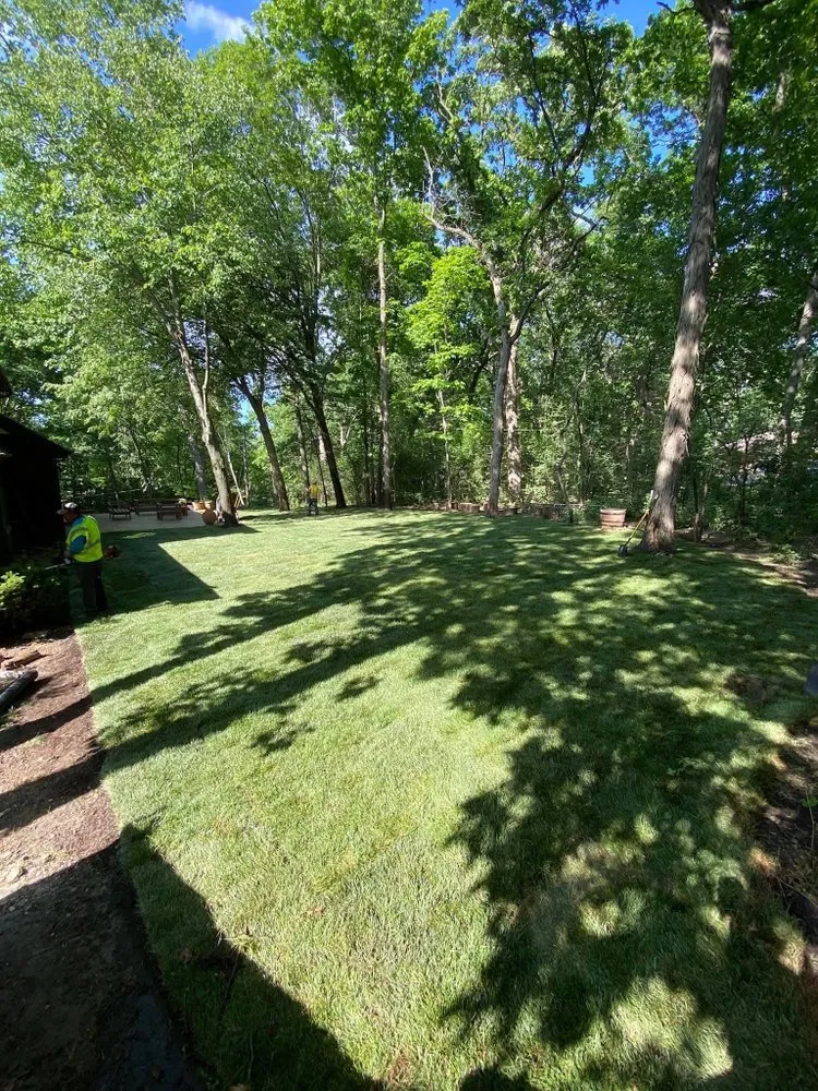 Reliable yard cleanup service in Vernon Hills, IL - SunCity Landscaping