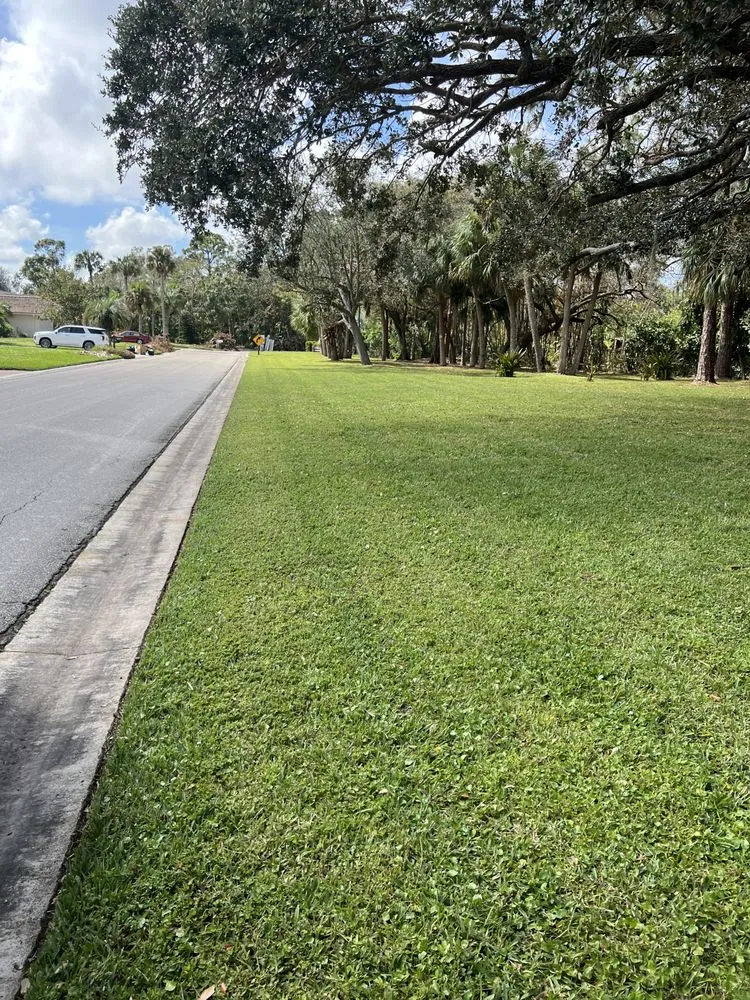 Top-rated yard cleanup service in Naples, FL by Suncity Lawn