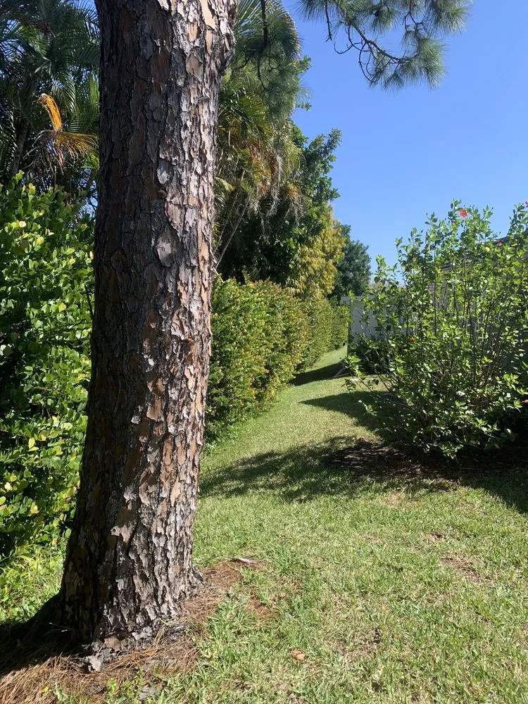 Expert landscaping services experts serving Naples, FL - Suncity Lawn