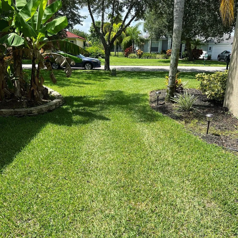 Top-rated residential landscaping in Naples, FL - Suncity Lawn