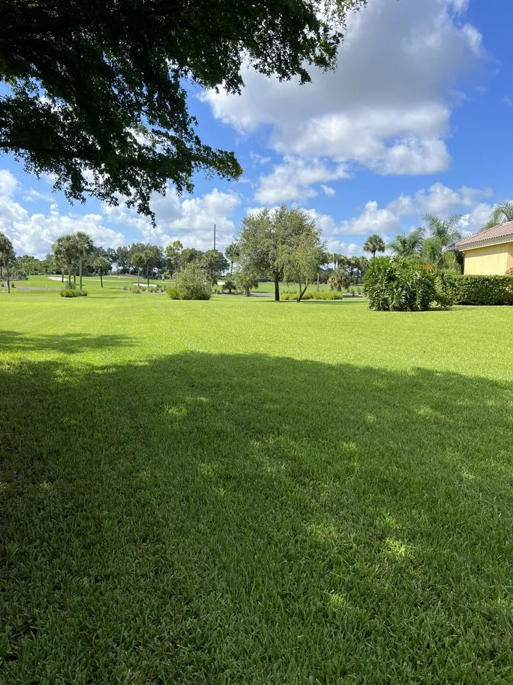 Expert landscape installation in Naples, FL - Suncity Lawn