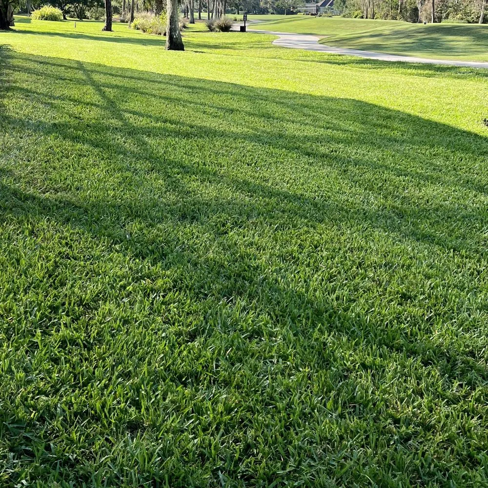 Local landscape design in Naples, FL - Suncity Lawn