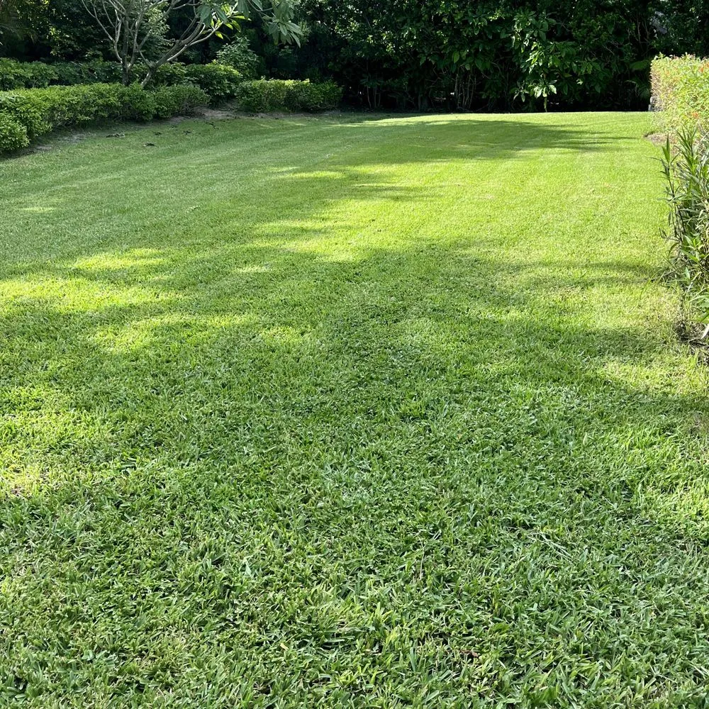 Local residential landscaping in Naples, FL - Suncity Lawn
