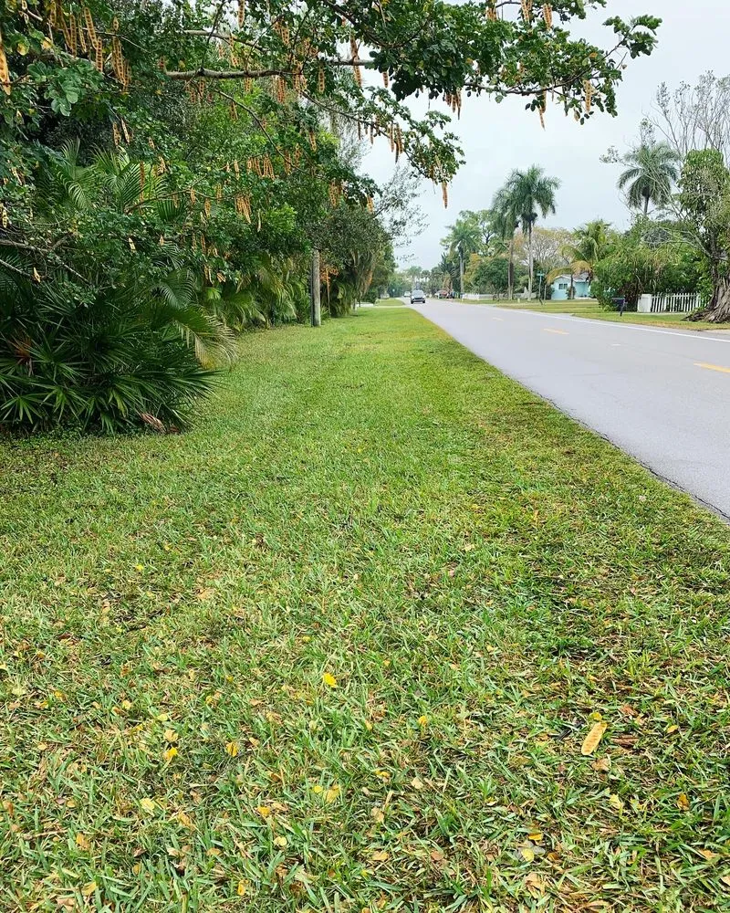Local yard maintenance in Naples, FL by Suncity Lawn