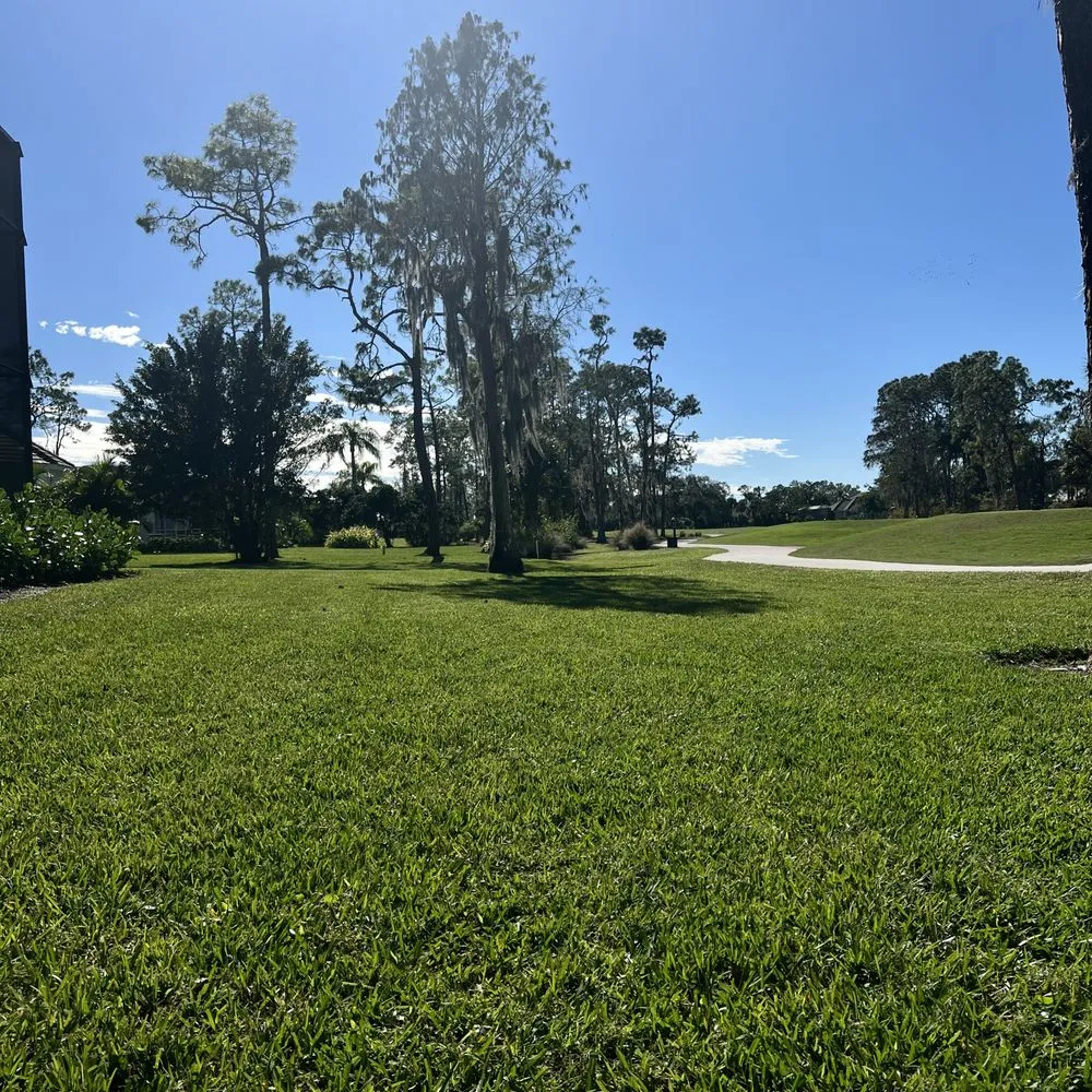 Top-rated residential landscaping for outdoor upgrades across Naples, FL - Suncity Lawn