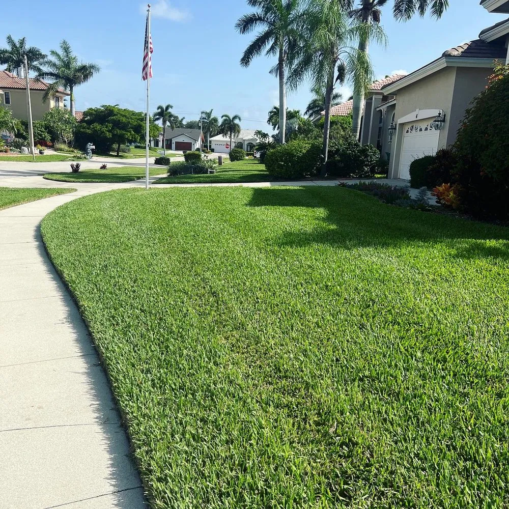Local landscape installation in Naples, FL by Suncity Lawn
