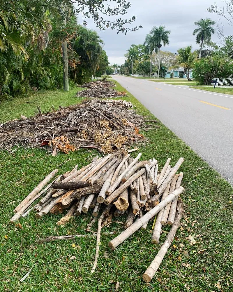 Top-rated garden landscaping experts serving Naples, FL - Suncity Lawn