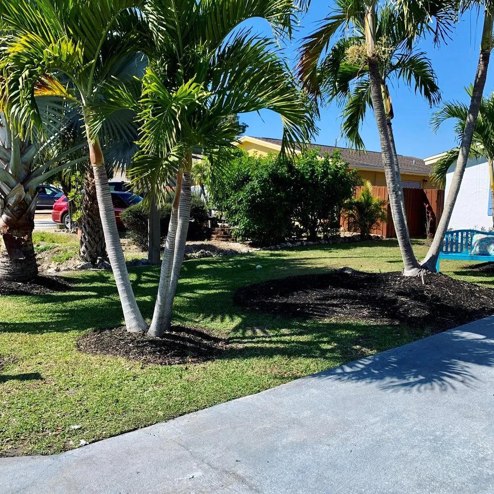 Expert yard cleanup service for residential properties in Naples, FL by Suncity Lawn
