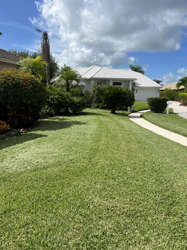 Professional yard maintenance experts serving Naples, FL - Suncity Lawn