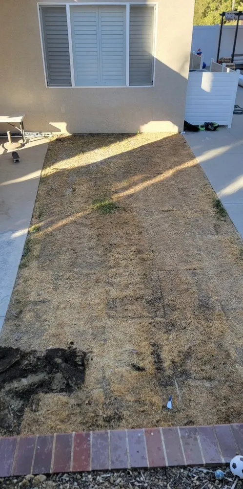 Trusted lawn care service with custom design across Perris, CA - SunCity Synthetic Turf