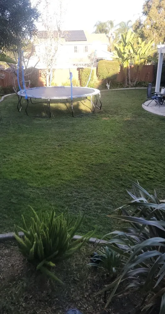 Custom lawn care service in Perris, CA by SunCity Synthetic Turf