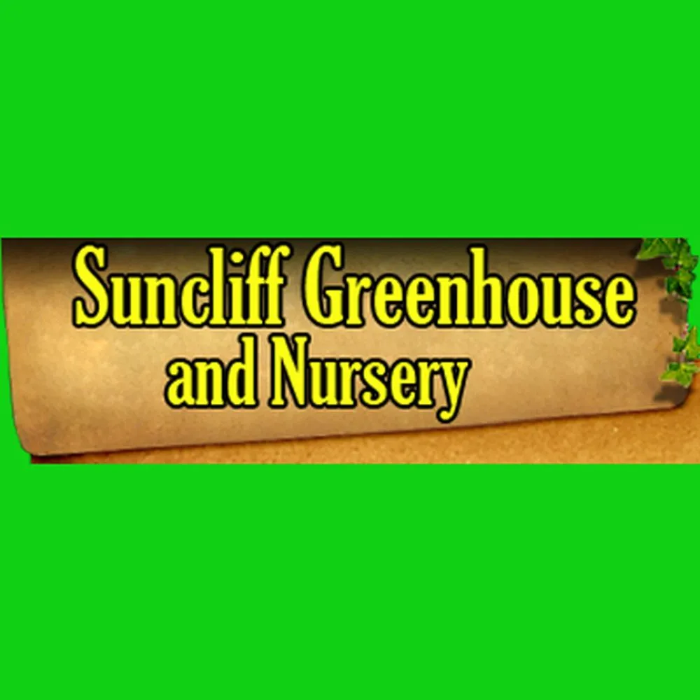 Expert landscape design for year-round maintenance in Rolla, MO by Suncliff Greenhouses & Nursery
