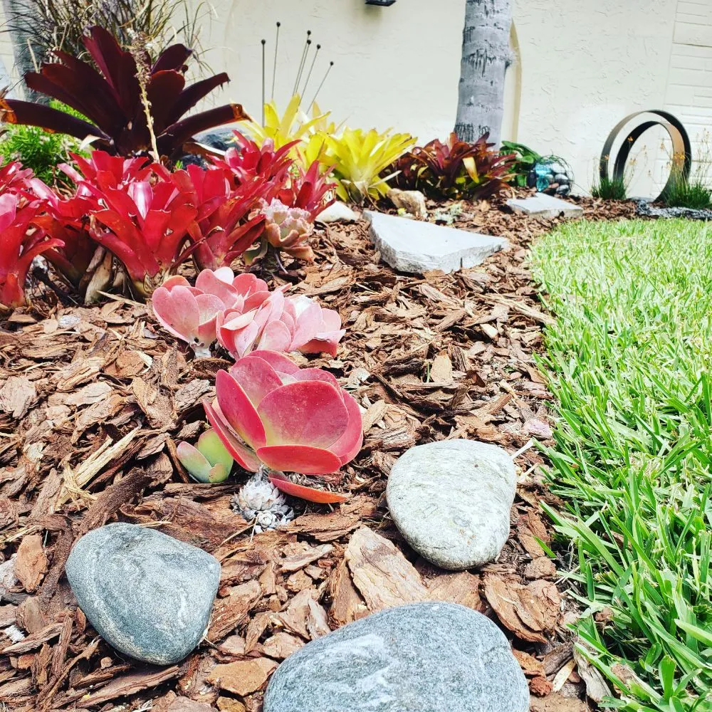 Trusted landscaping services for homes in New Port Richey, FL by Suncoast Landscaping and Lawn Care