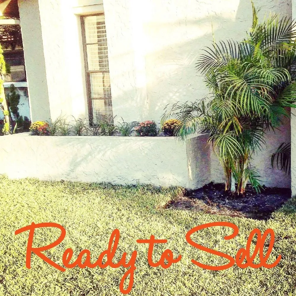 Reliable outdoor landscaping for year-round maintenance in New Port Richey, FL by Suncoast Landscaping and Lawn Care