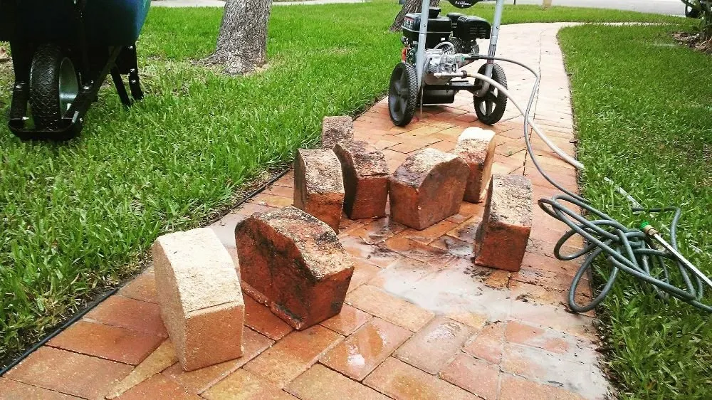 Expert yard cleanup service in New Port Richey, FL - Suncoast Landscaping and Lawn Care