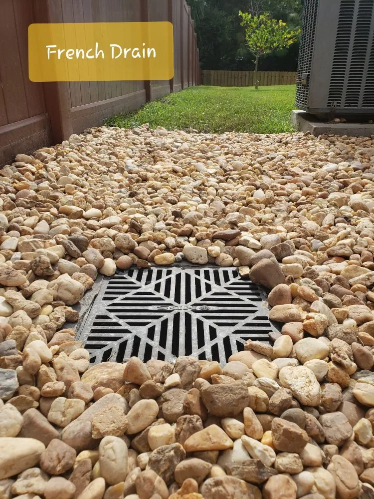 Affordable yard maintenance experts serving New Port Richey, FL - Suncoast Landscaping and Lawn Care