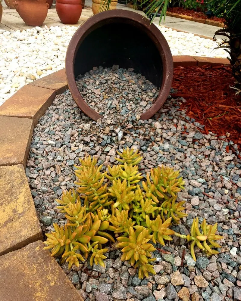 Professional garden landscaping experts serving New Port Richey, FL - Suncoast Landscaping and Lawn Care