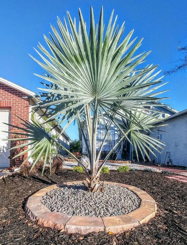 Trusted lawn mowing service experts serving New Port Richey, FL - Suncoast Landscaping and Lawn Care