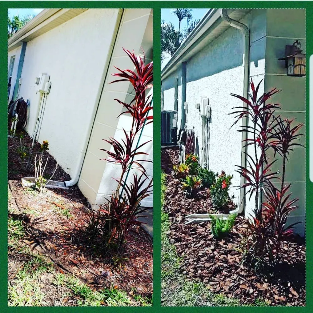 Trusted lawn care service experts serving New Port Richey, FL - Suncoast Landscaping and Lawn Care