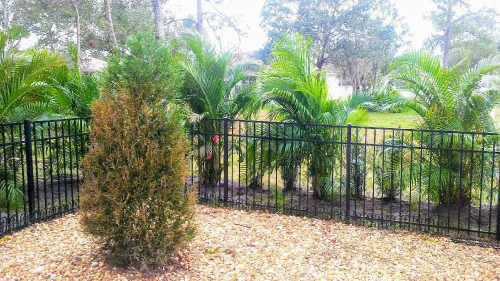 Custom residential landscaping experts serving New Port Richey, FL - Suncoast Landscaping and Lawn Care