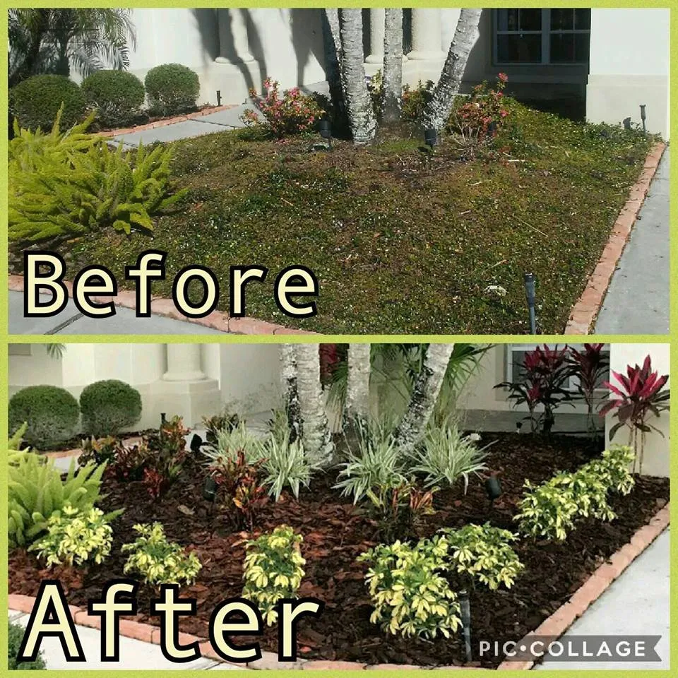 Top-rated lawn mowing service near you across New Port Richey, FL - Suncoast Landscaping and Lawn Care