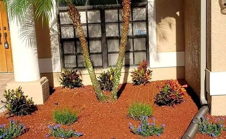 Trusted landscape installation experts serving New Port Richey, FL - Suncoast Landscaping and Lawn Care