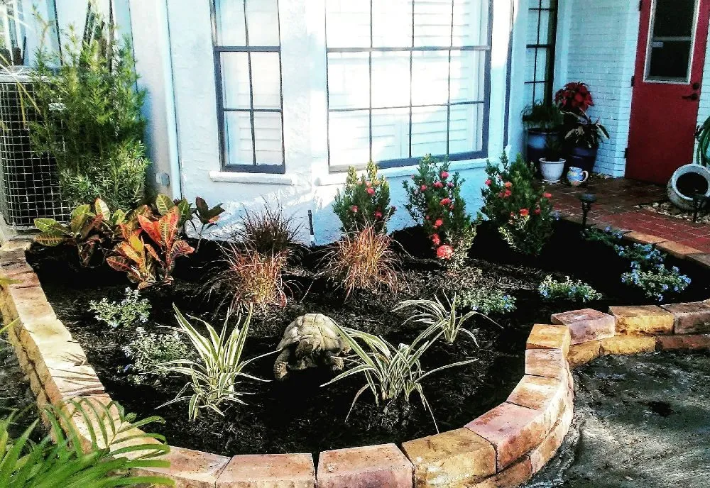 Top-rated garden landscaping in New Port Richey, FL - Suncoast Landscaping and Lawn Care