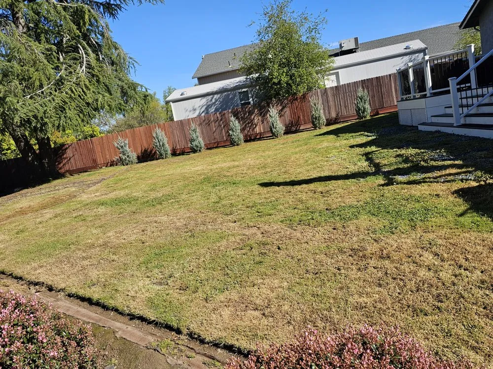 Reliable lawn care service in El Dorado Hills, CA - Suncrest Landscape