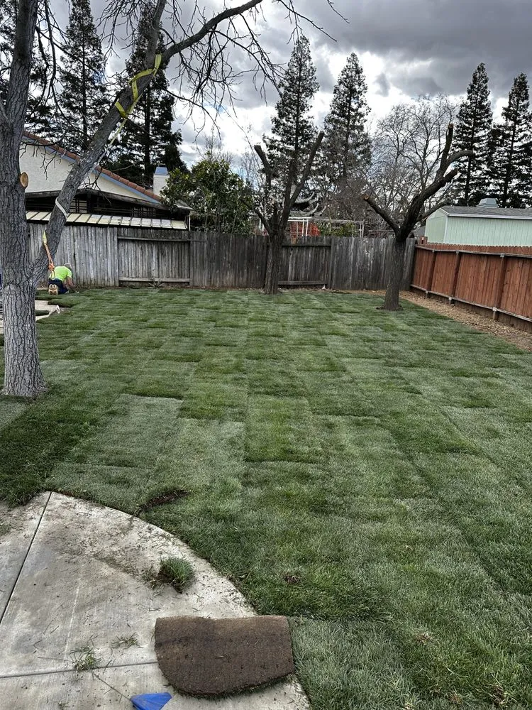 Local lawn mowing service for year-round maintenance across El Dorado Hills, CA - Suncrest Landscape