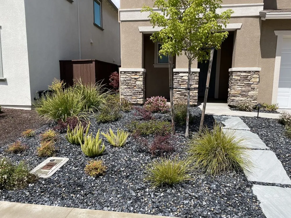 Professional landscape installation in El Dorado Hills, CA - Suncrest Landscape