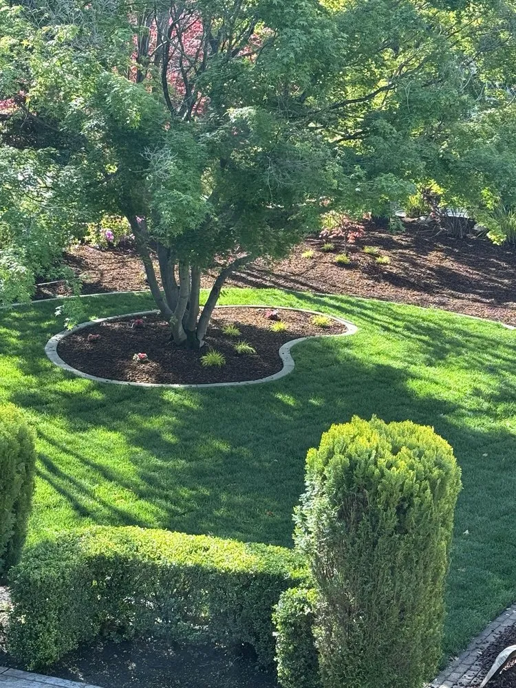 Trusted outdoor landscaping in El Dorado Hills, CA - Suncrest Landscape